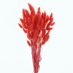 Droogbl Bewerkt H% 60cm 60gram