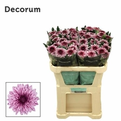 Chr G Pip 70cm 85gram