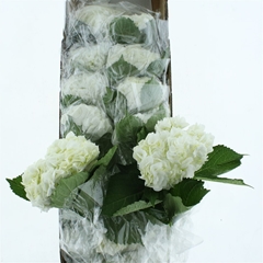 Hydr Other 60cm 23cm Ø