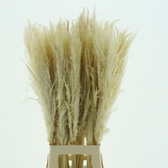 Droogbl Bewerkt H% 95cm