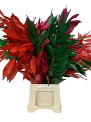 Decorgr Klb Pb 21% 60cm