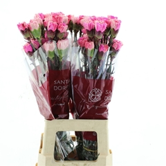 Di St Ov Klb 21% 70cm 23