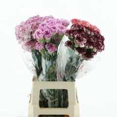 Flowers 70cm
