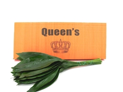 Aspidistra E Per Bunch 100cm