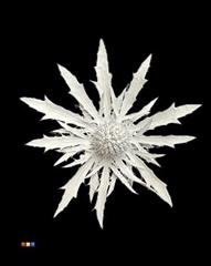 Eryngium White