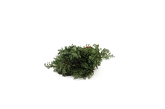 Chama P Boulevard Bs 25cm