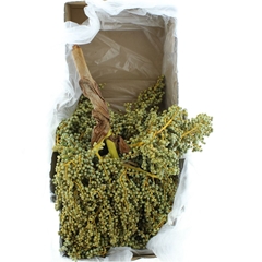 Dadels Kilo 50cm 986gram