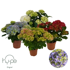 Hydr Gemengd 14Ø 40cm