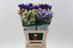 Lim S Mixed 70cm 45gram
