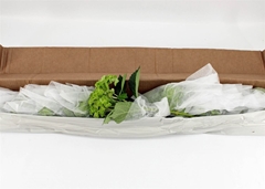 Hydr Other 65cm 18cm Ø