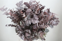 Euc Cin Klb P Bunch H% 70cm 200gram