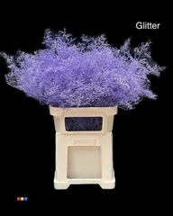 Limonium Milka + Glitter Bio