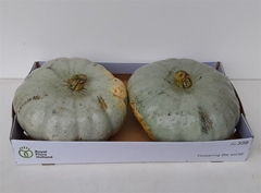 Cuc Pepo Kalebas Los 25cm