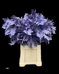 Eikeblad Frosted Milka 80cm