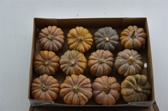 Cuc Pepo Kalebas Los 150gram