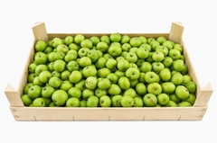 Malus Other Per Bak 5000gram