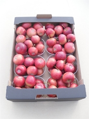 Malus Other Per Bak 350gram
