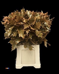 Eikeblad Transparant Orange 80cm