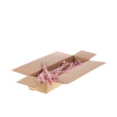 Cane Cone Op St H% 50cm