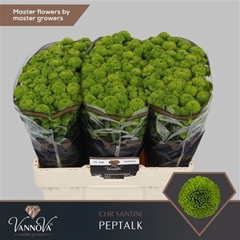 Chr S Aaa Peptalk 55cm 110g