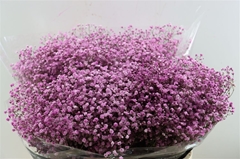 Gyps Colortreated 80cm 40gram