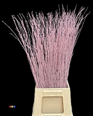 Betula / Berkentak Light Pink
