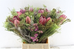 Protea Per Bunch 3 Punt 50cm