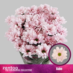 Chr T Babe 70cm 75gram