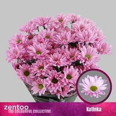 Chr T Katinka 70cm 75gram
