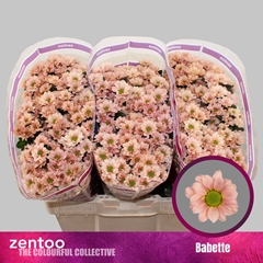 Chr S Babette 55cm 120g