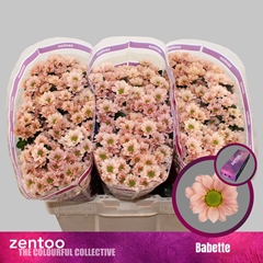 Chr S Babette 55cm 120g