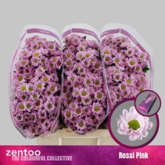 Chr San Rossi Pink 55cm 110g