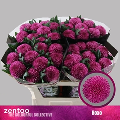 Chr G Roxo 70cm 80gram