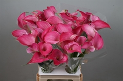 Zant Pink Jewel