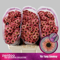 Chr S Yi Yan Smokey 55cm 110g