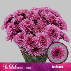 Chr T Fabienne 70cm 75gram