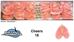 Anth A Cheers 60cm 13cm Ø