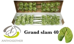 Anth A Grand Slam 11cm Ø