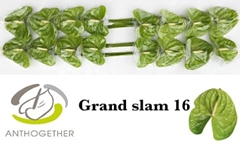 Anth A Grand Slam 11cm Ø