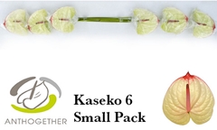 Anth A Kaseko 13cm Ø
