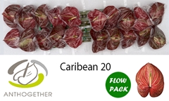 Anth A Caribean 9cm Ø