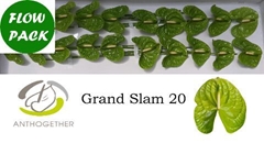 Anth A Grand Slam 9cm Ø