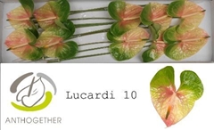 Anth A Lucardi 15cm Ø