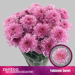 Chr T Fabienne Sweet 70cm 75gram