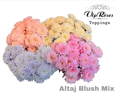 Chr T Altaj Blush Mix