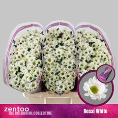 Chr San Rossi White 55cm 110g