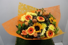 Gem Boe Groot Oranje 35 Stele Vers