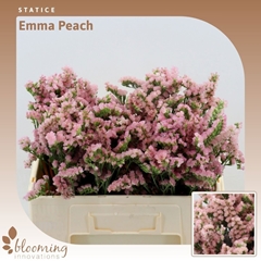 Lim S Emma Peach+