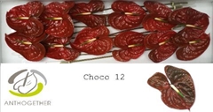 Anth A Choco 13cm Ø