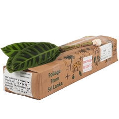 Decor Groen Other 50cm